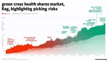Green Cross Health Shares Lag Market, Highlighting Stock Picking Risks